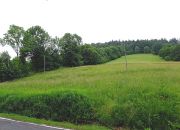 Duża działka z domem do remontu miniaturka 14