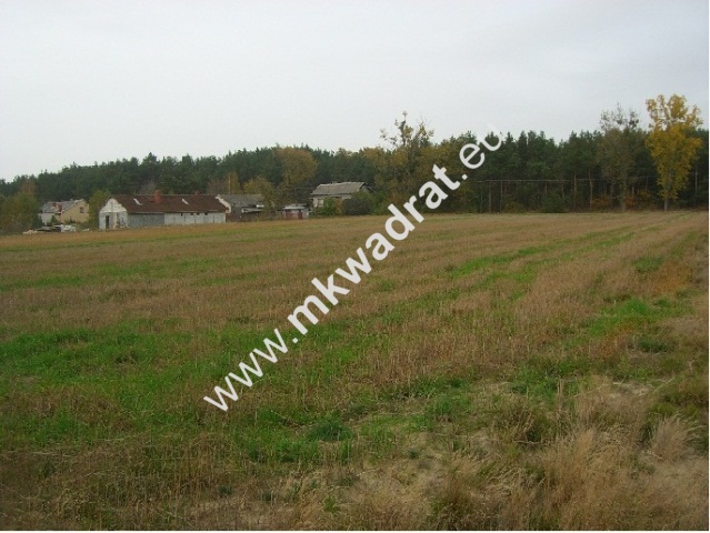 Działki Nowe Mistrzewice 1485m k/Sochaczewa miniaturka 3