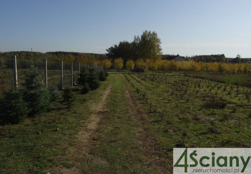 Osuchów, 399 000 zł, 1.16 ha, przyłącze wody miniaturka 2