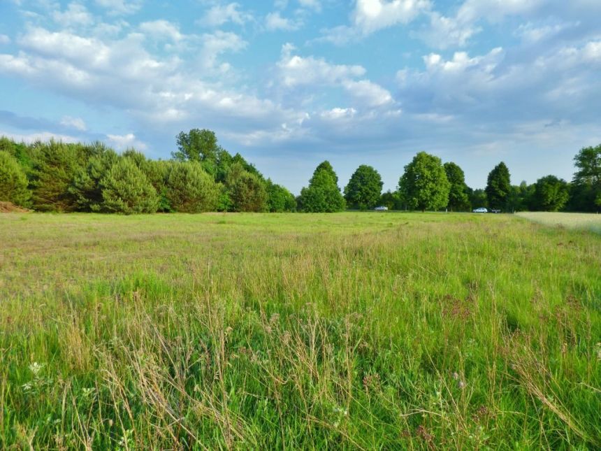 DZIAŁKA 2,17 HA, KOZENIN, POW. OPOCZNO miniaturka 2