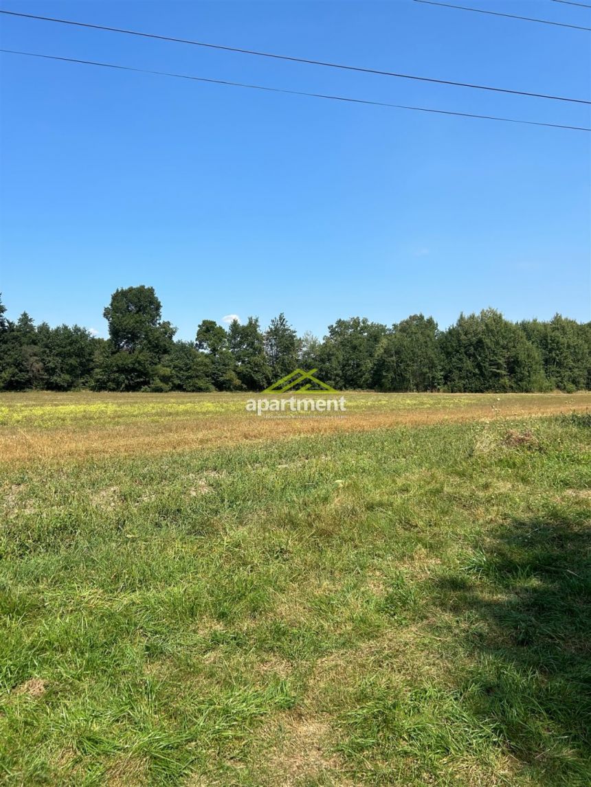 Radgoszcz, 249 000 zł, 5.32 ha, przyłącze wodociągu miniaturka 22