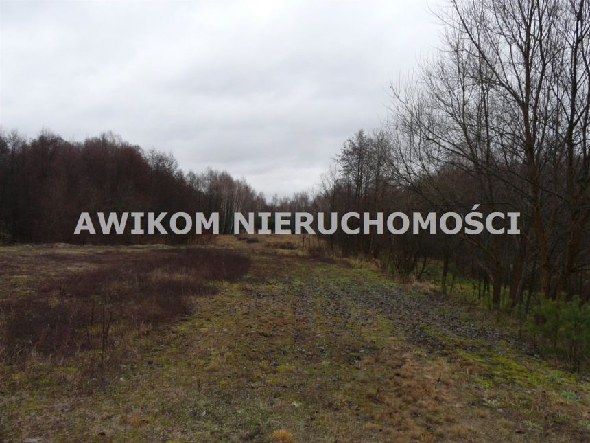 Skierniewice, 440 000 zł, 100 m2, do remontu miniaturka 12