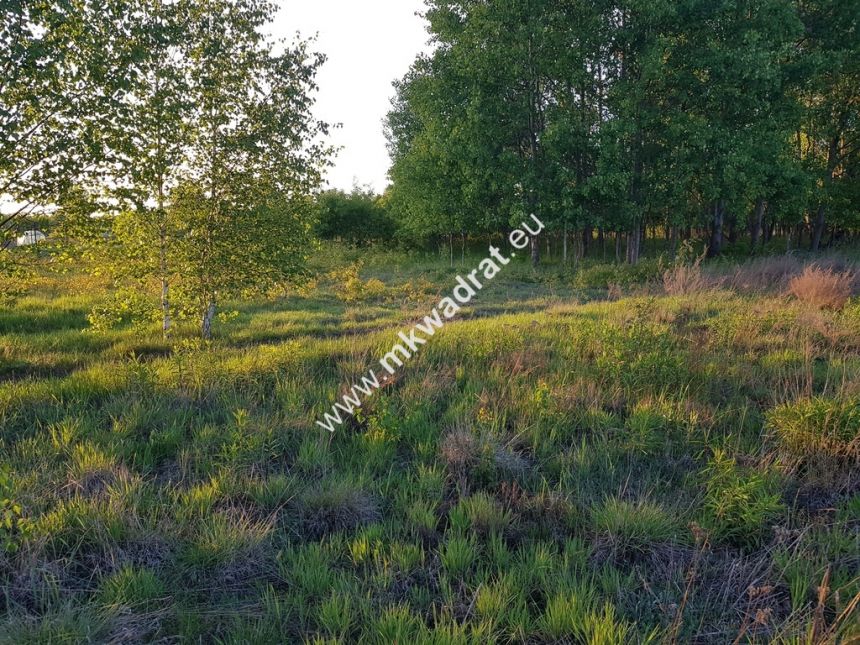 działka 800 m od szkoły miniaturka 4