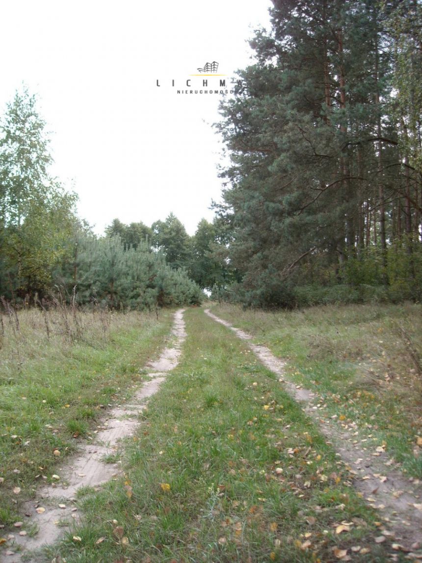 Trojaczek, 349 000 zł, 2.3 ha, rolna miniaturka 9