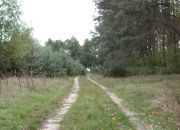 Trojaczek, 349 000 zł, 2.3 ha, rolna miniaturka 9