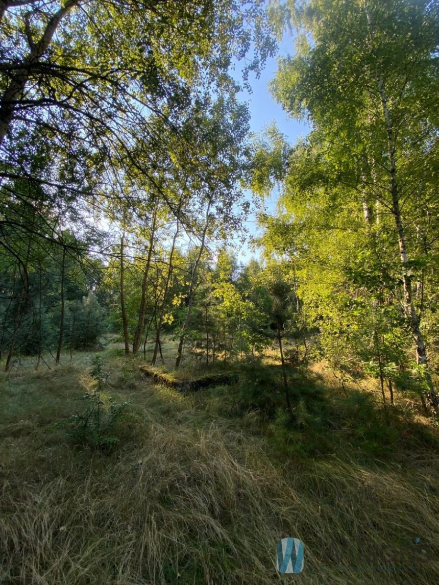 Niemianowice, 110 000 zł, 18 ar, budowlana - zdjęcie 1