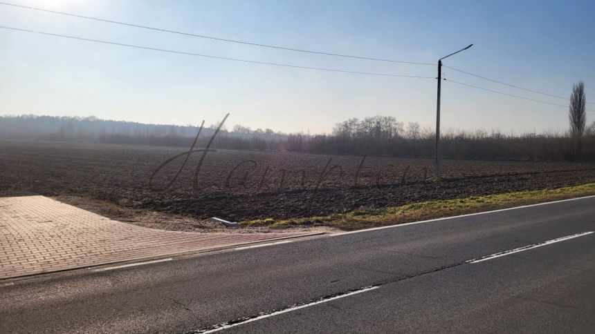 Kromnów, 240 000 zł, 30 ar, rolna miniaturka 2