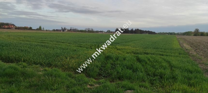 3416m2 Pasikonie k/Kampinosu z warunkami zabudowy! miniaturka 3