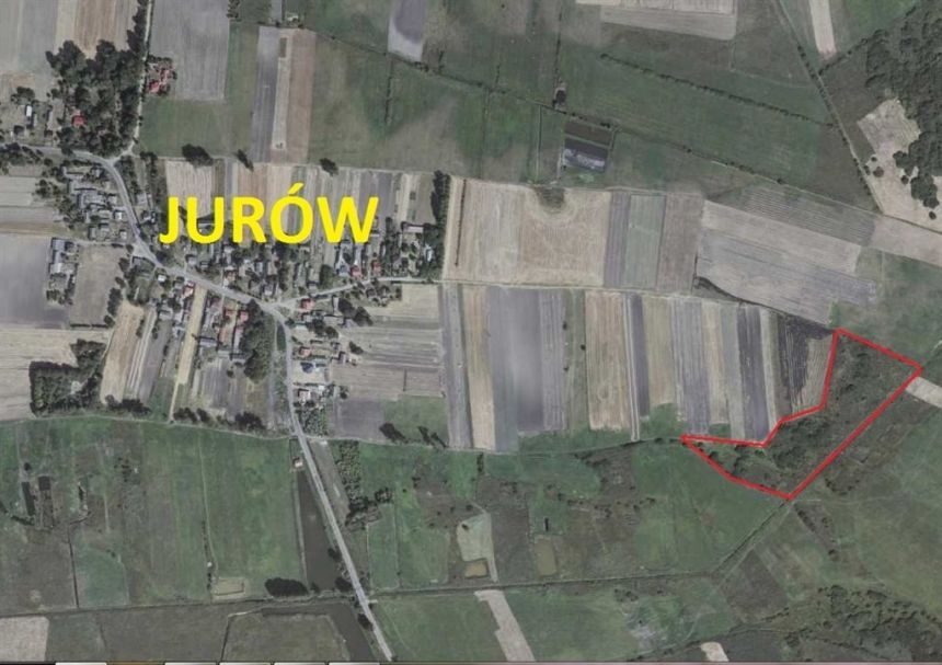 2,59 ha w Jurowie, powiat Tomaszów - zdjęcie 1