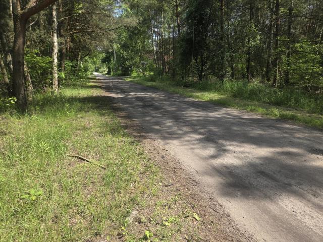 za działkami las, zamknięta droga wewnętrzna - zdjęcie 1