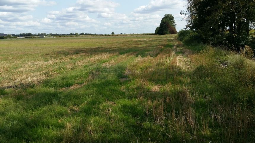 Leszno, 360 000 zł, 30 ar, prostokątna miniaturka 7