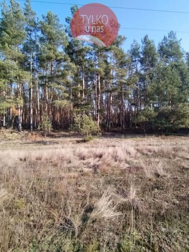 Zarośle Cienkie, 180 000 zł, 20.93 ar, budowlana