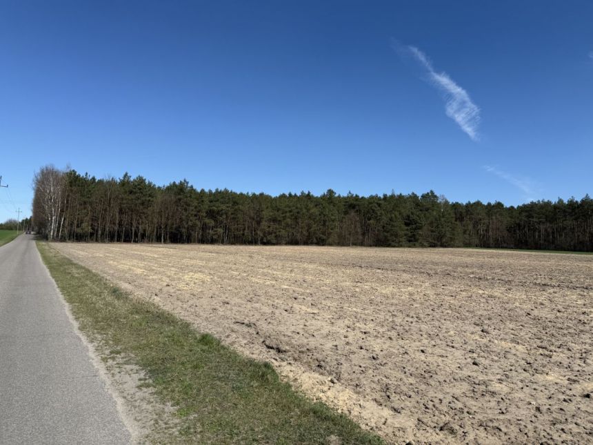 Skórka, 88 500 zł, 15 ar, droga dojazdowa asfaltowa miniaturka 7