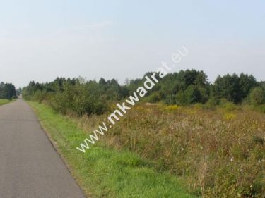Radziejowice, 2 990 000 zł, 2.3 ha, droga dojazdowa asfaltowa