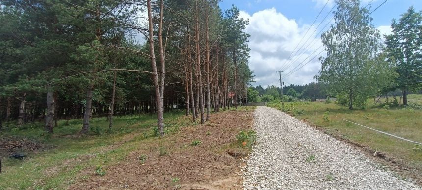 Działka 1240 m2, Niwy Daleszyckie (gm. Daleszyce) miniaturka 15