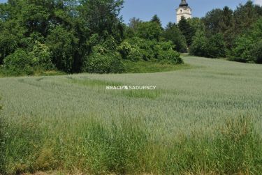 Duża działka inwestycyjna w Brzeziu gm.Kłaj