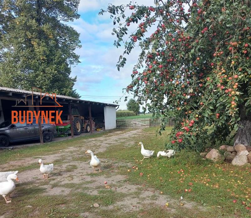 Gospodarstwo rolne - Sławno miniaturka 3
