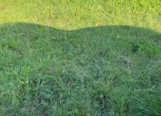 Sianożęty, 295 000 zł, 20 ar, przyłącze wodociągu miniaturka 1