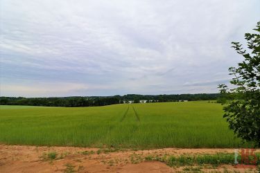 Garbas Drugi, 150 000 zł, 11.55 ar, prostokątna