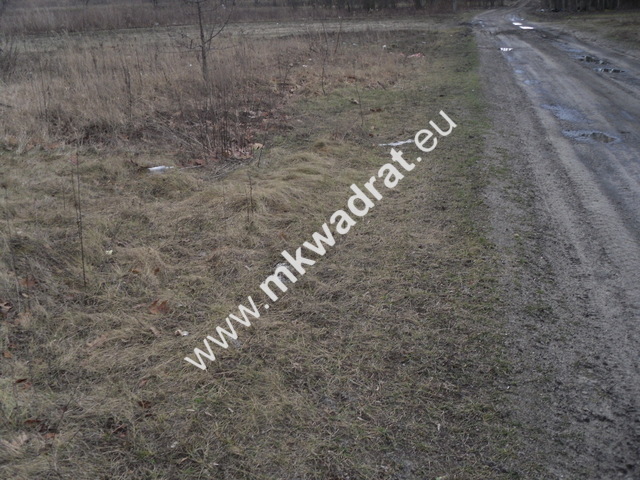 Ciekawa działka miniaturka 3
