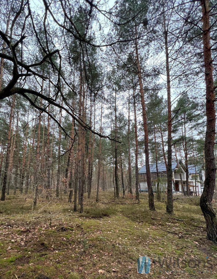 Józefów Michalin, 2 200 000 zł, 21.57 ar, droga dojazdowa utwardzona miniaturka 7