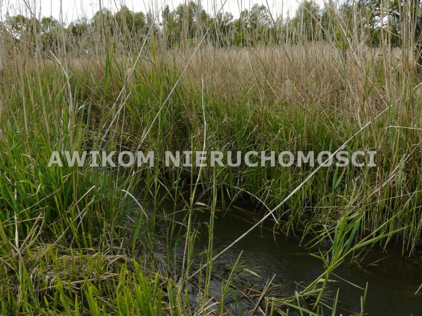 Sewerynów, 110 000 zł, 15 ar, przyłącze elektryczne miniaturka 12