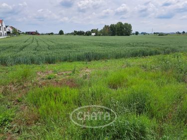 Wierzbice, 6 580 000 zł, 4.7 ha, przyłącze prądu