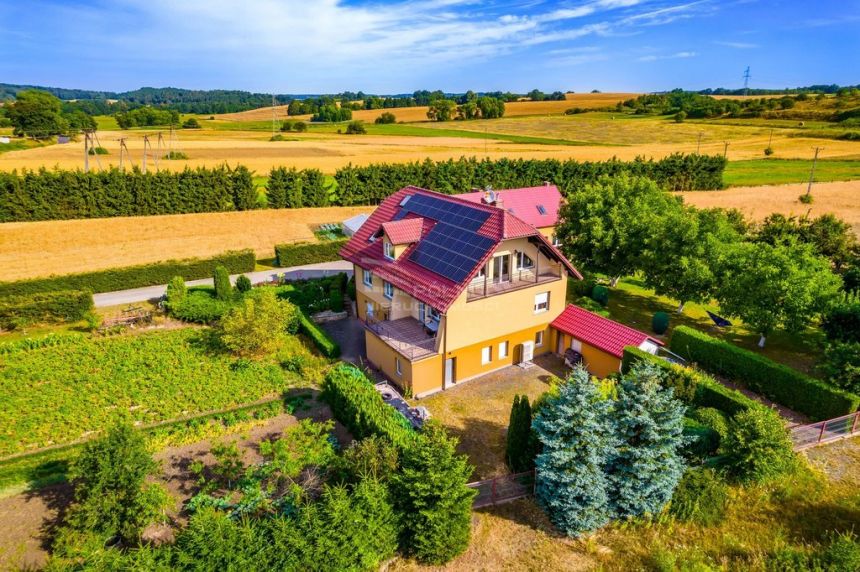 Piękny duży dom z działką 9211m2 i drugim domem miniaturka 4