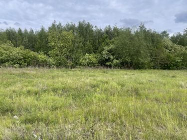 Działka budowlana 1050 m² – Słupno, przy lesie.