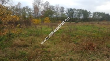 Inwestycyjno-budowlana przy 719 Brwinów  WZ