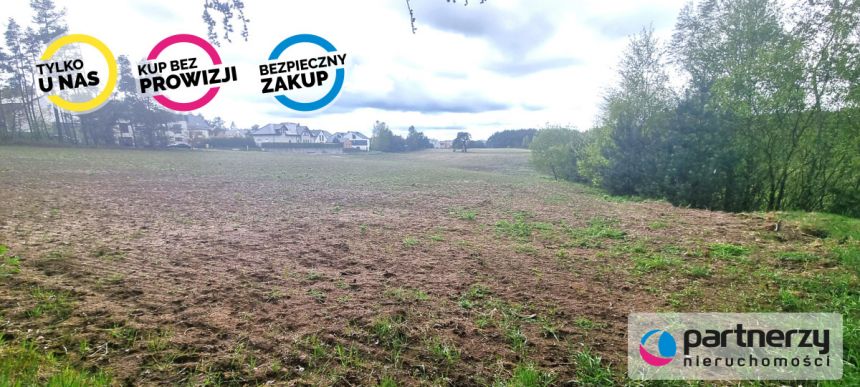 Bojano, 23 750 000 zł, 5.94 ha, droga dojazdowa utwardzona miniaturka 6
