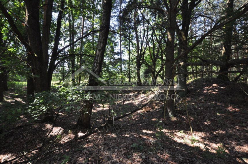 Siedlisko do grunt Remontu, dużo lasu, można wyodrębnić budowlane miniaturka 6
