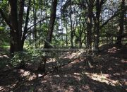 Siedlisko do grunt Remontu, dużo lasu, można wyodrębnić budowlane miniaturka 6