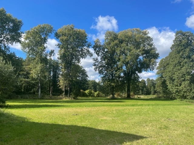 Budowlano/rolna 2,6ha nad Bugiem 30 km od Warszawy miniaturka 2