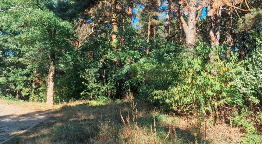 Działka budowlana w Dąbrowie Leśnej - zdjęcie 1