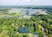 Grzegorzewice, 369 000 zł, 22 ar, droga dojazdowa utwardzona miniaturka 2