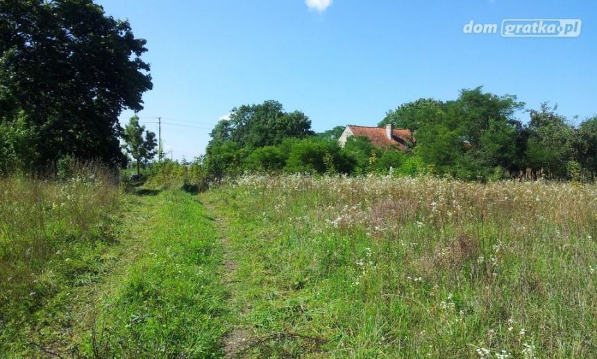 Chmielewo, 260 000 zł, 2.05 ha, przyłącze wodociągu miniaturka 8