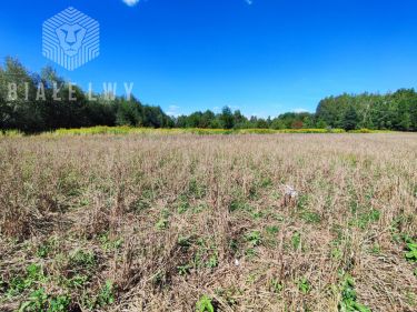 Stare Babice, 900 000 zł, 10 ar, inwestycyjna
