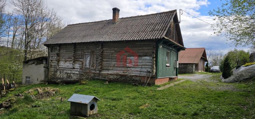 Chata drewniana przy ścianie pieknego starego lasu miniaturka 14