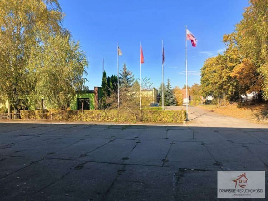 Czaplinek, 3 250 000 zł, 47.56 ar, prostokątna miniaturka 11