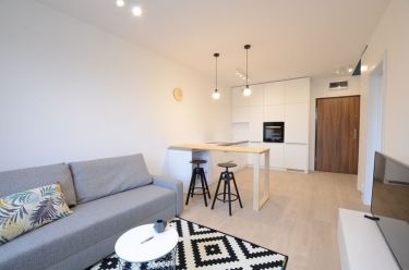 Kraków Stara Krowodrza, 2 900 zł, 35 m2, pietro 4/7