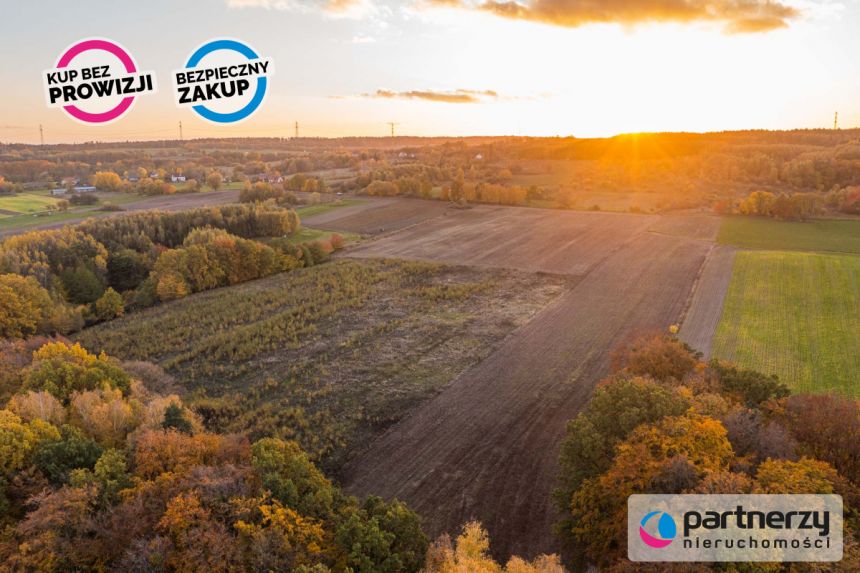 Buszkowy, 130 000 zł, 58 ar, rolna miniaturka 7