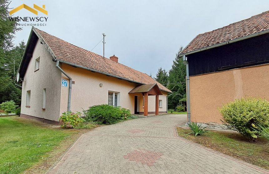 Dom 144m² w Dąbrowie, duża działka i zabudowania. miniaturka 2