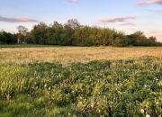 Święcice, 900 000 zł, 20 ar, woda w drodze miniaturka 2