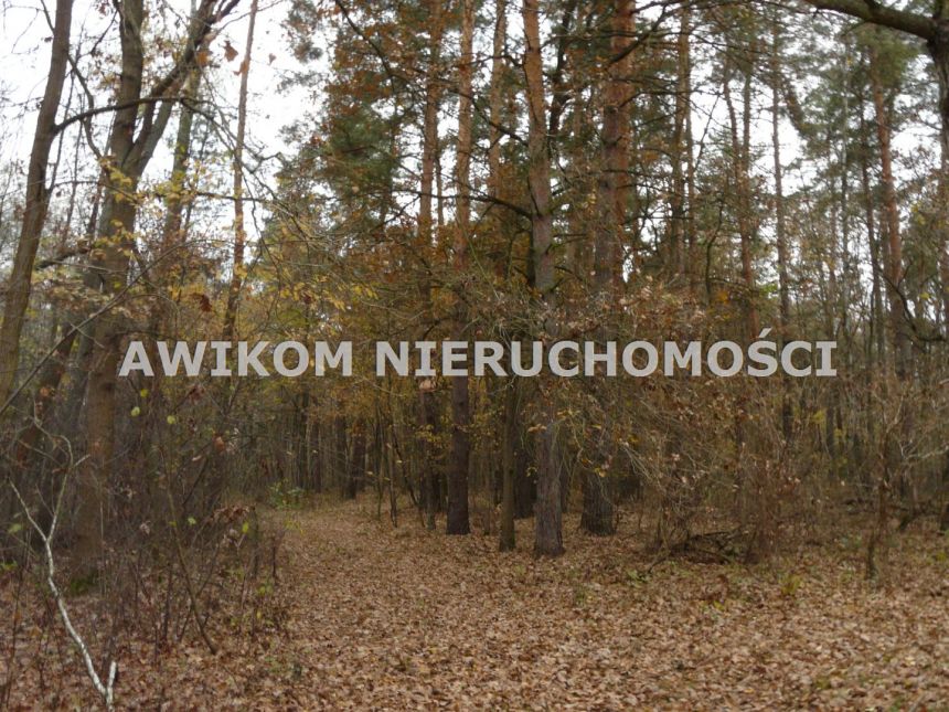 Stara Rawa, 141 040 zł, 1.41 ha, droga dojazdowa asfaltowa miniaturka 5