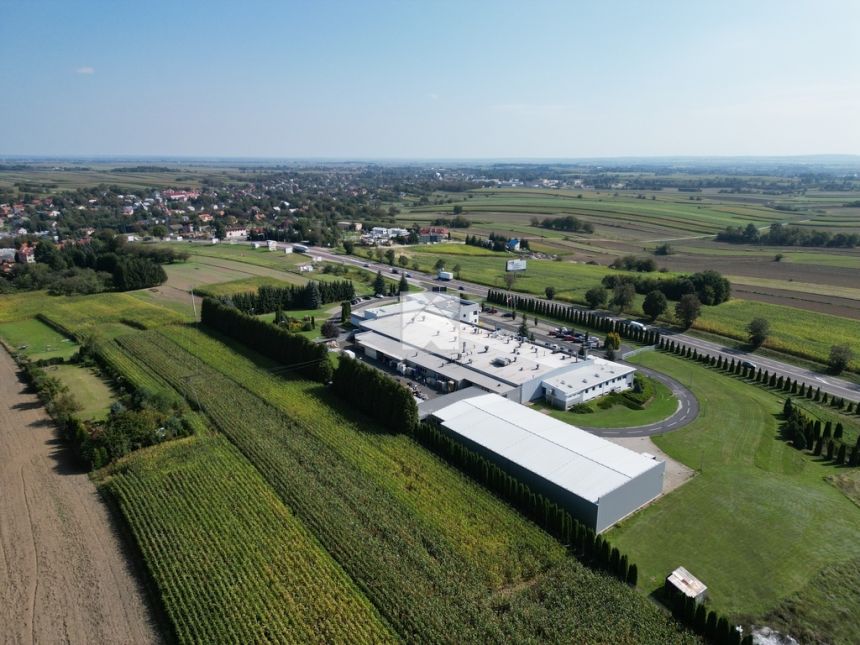 LIS Business Park - Magazyn składowania h= 8m miniaturka 9