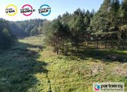 Gotelp, 174 120 zł, 43.53 ar, przyłącze prądu miniaturka 1