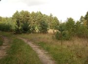 Trojaczek, 349 000 zł, 2.3 ha, rolna miniaturka 7