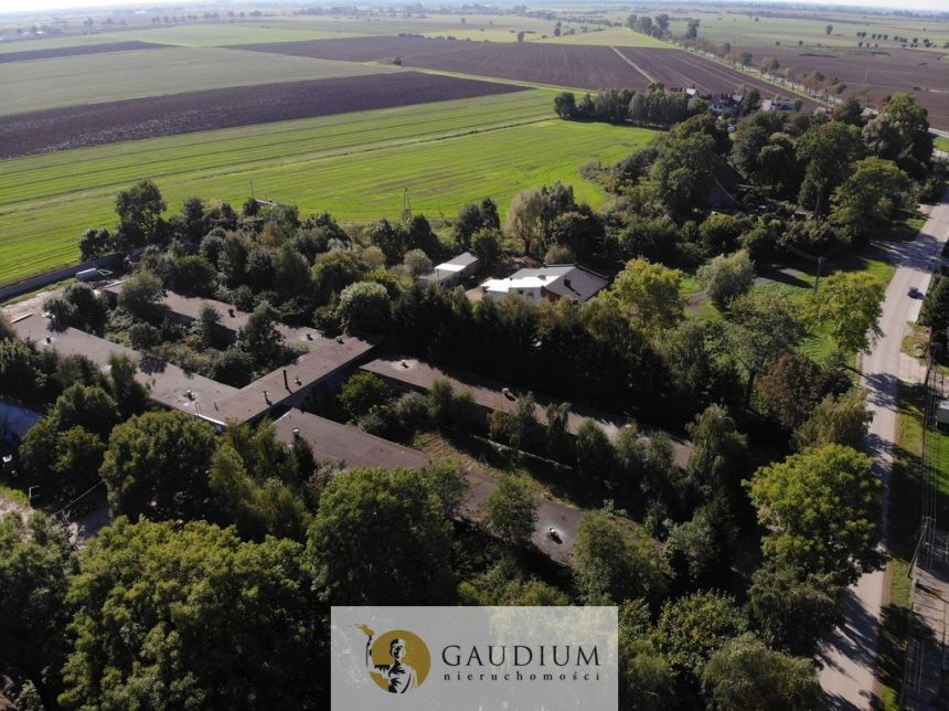 Hala 1500 m2 | Martąg miniaturka 3