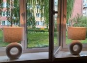 2-pokojowe mieszkanie na Woli miniaturka 4